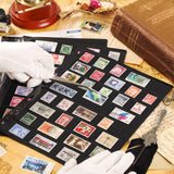 Stamp Pages- 30x197MM Pocket - 100 Pockets - IS010810