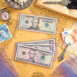 Banknote Topload Holder - 100 Pack - 173 X 75 MM [ 6.8 X 2.9 INCH ] - PN03L100